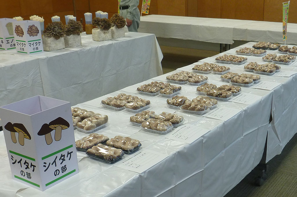 山形県きのこ品評会