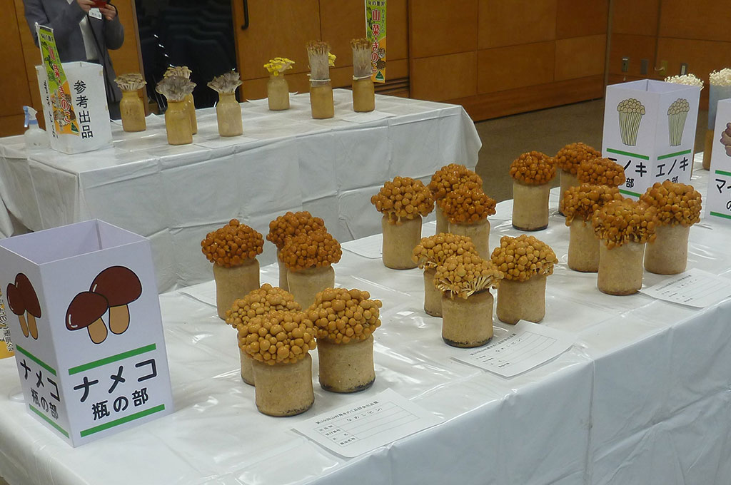山形県きのこ品評会