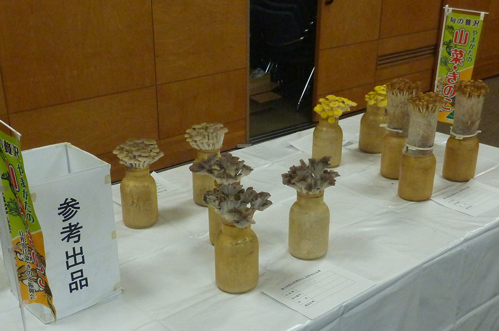 山形県きのこ品評会